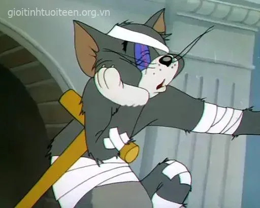 Hình Tom nhăn nhó gương mặt khổ sở đáng thương.