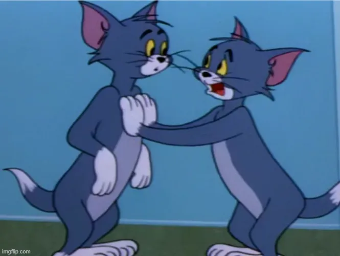 Mèo Tom troll cà khịa, biểu cảm hài hước.