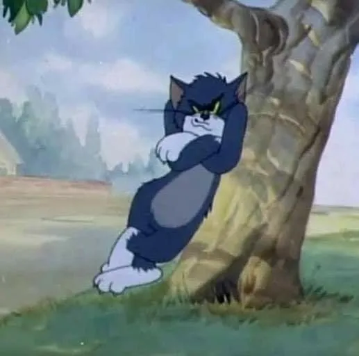 Mèo Tom lầy lội, biểu cảm quá bá đạo.